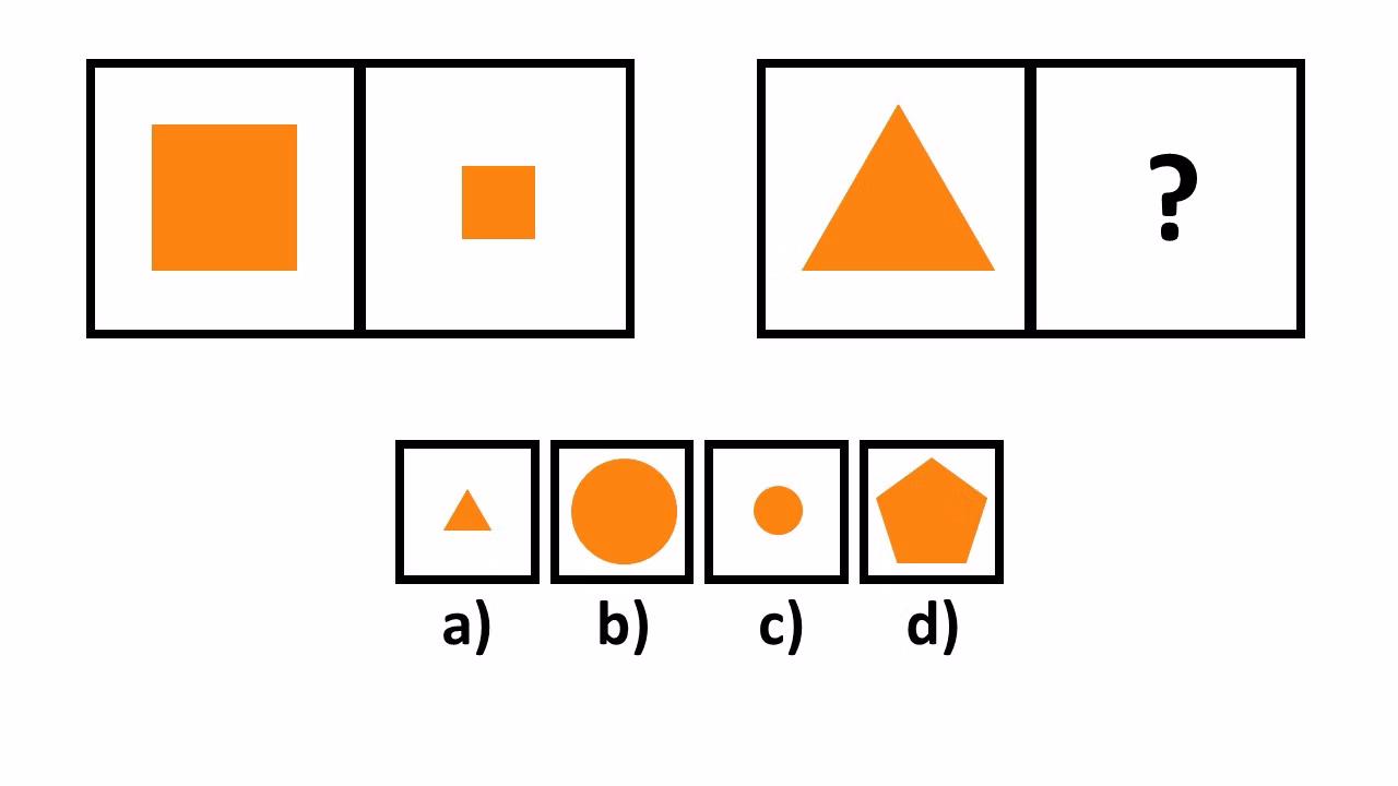 1652850275369905.jpg